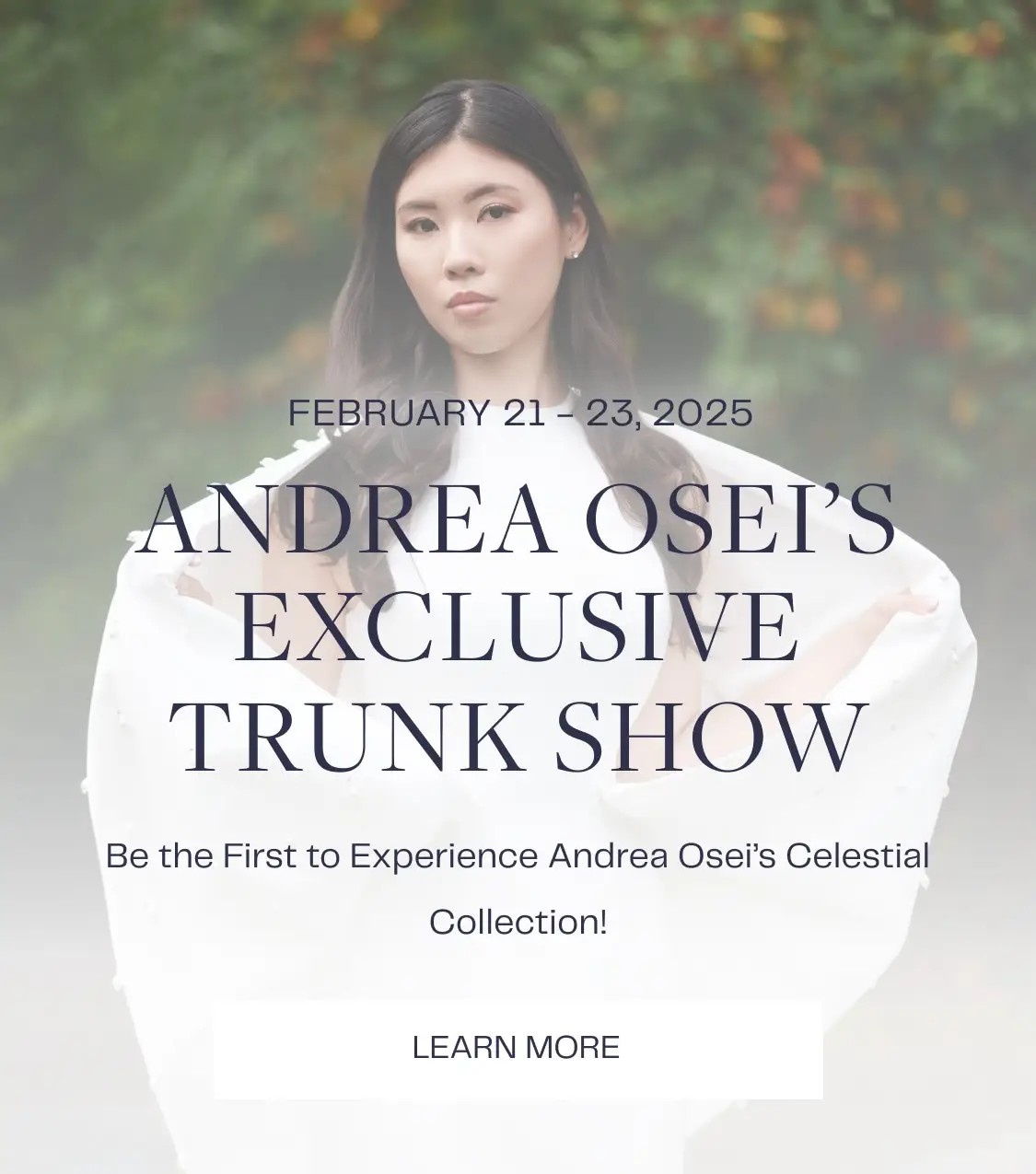 andrea osei trunk show banner